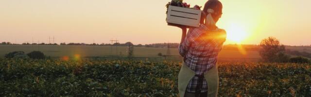 Poljoprivrednicima leglo na račune više od 100 milijardi dinara: Isplaćeno 96 odsto subvencija