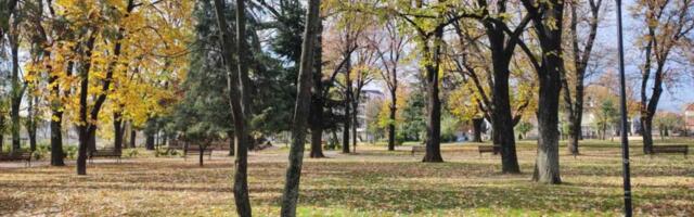 Naučnici stavili travu pod mikroskop i zapanjili se onim što su videli: Pogledajte gomilu smajlića