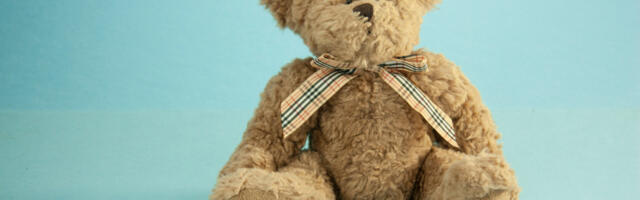 Plišani meda krio neverovatnu tajnu: Primetili čudne šavove, a unutra čitavo bogatstvo