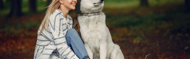 Istraživanje otkriva: Ženke pasa prepoznaju osobu kojoj mogu da veruju i koliko je sposobna