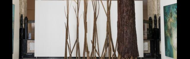 Уметник здружен са материјалом