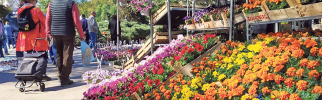 Ваљевски парк „обојен” цвећем