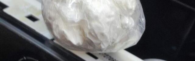 Srbin "pao" u Crnoj Gori: Kokain, tablete i silni keš zaplenjeni prilikom serije hapšenja (FOTO)