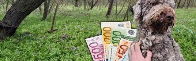 Kruševljanin daje bogatstvo za ljubimca: Sumnja da je negde zatvoren