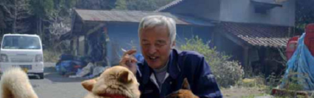 Nakon katastrofe u Fukušimi, mnoge životinje su napuštene, a dvojica muškaraca se i dalje brinu o njima