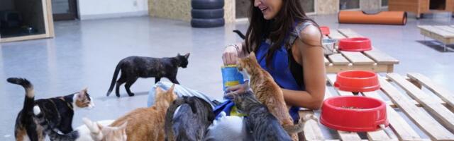 „Pružam ti šapu“ – Lidl donirao tonu hrane napuštenim životinjama