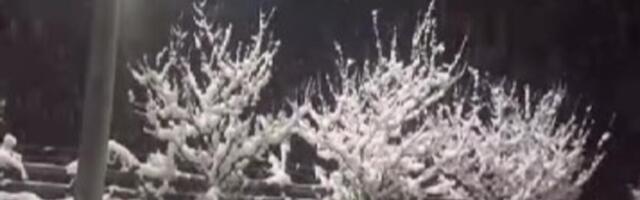 Sneg veje i u ovom srpskom gradu: Padaju bele pahulje kao na filmu, saobraćaj u zastoju (VIDEO)