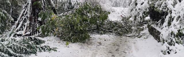 Zatečeni smo niskim temperaturama: Da li je normalno da u oktobru bude ovako hladno?