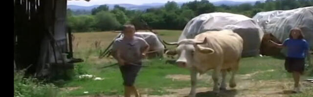 Zbog malog Milije cela Srbija je plakala: Sam brinuo o celom domaćinstvu, bio na rubu egzistencije, a sada je svoj čovek! (FOTO/VIDEO)