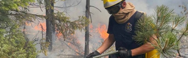 VULIN SAOPŠTIO POBEDNIČKE VESTI: Požari kod Nove Varoši i Priboja lokalizovani