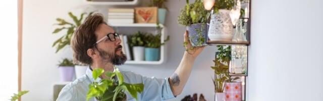 Trikovi pomoću kojih će biljke preživeti vaš godišnji