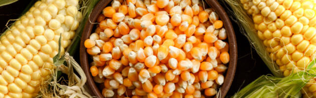 Продуктна берза: прометовано 2.363 тона робе