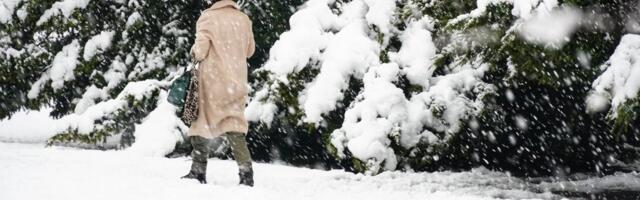 Sledi najhladniji period: Velika prognoza do kraja godine - Sneg u gradove stiže brzo (MAPE)