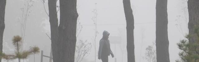 Vidljivost je zbog magle smanjena i na ispod 100 metara, biće je do vikenda: Savetuje se oprezna vožnja