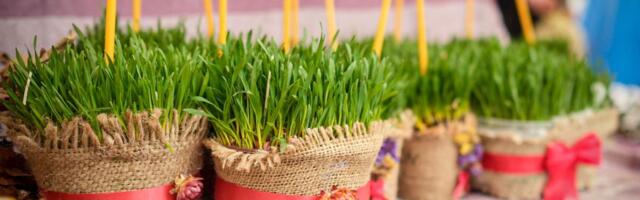 Božićnu pšenicu nikako ne smete da bacate: Drugog dana Božića obavezno uradite jednu stvar s njom da bi vas sreća pratila