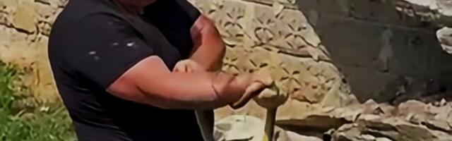 Tri zmije pronađene u leglu kod Leskovca, jedna ujela Vladicu Stankovića (video)