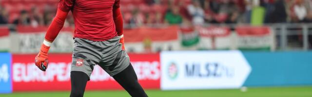 Srpski golman se oporavio od povrede