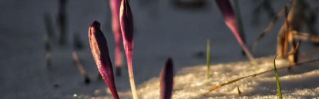 Sutra nas očekuje vremenski rolerkoster: Oglasio se RHMZ, jutro hladno, tokom dana porast temperature