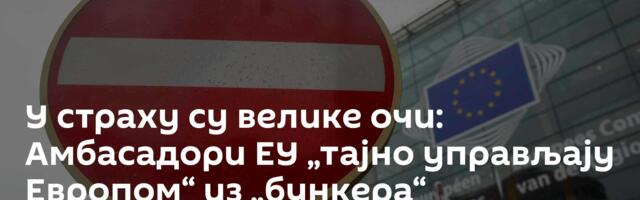 У страху су велике очи: Амбасадори ЕУ „тајно управљају Европом“ из „бункера“