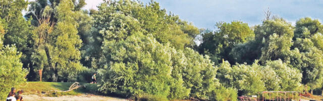 По­чи­ње чам­џиј­ска се­зо­на на Ду­на­ву