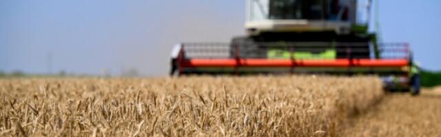 Продуктна берза: пшеница држи 71 одсто промета, поскупели кукуруз и соја