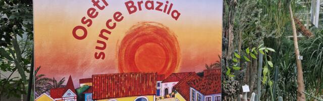 Pola decenije VIVA Single Origin 100% Arabica na OMV benzinskim stanicama