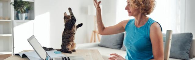 Kućni ljubimci čuvaju mozak starijih