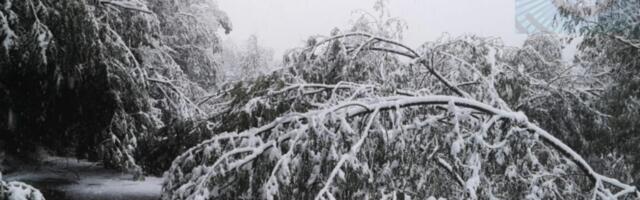 Ovako izgleda put Crna Trava-Vlasotince (FOTO+VIDEO)