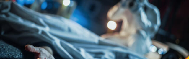 JEZIVI DETALJU SA SUĐENJA ZA UBISTVO &quot;Glava je visila, vrat je bio na prečagi, a telo na podu&quot;