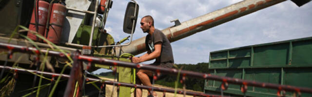 Остају субвенције на сто хектара по газдинству