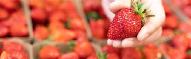 Stigle su jagode na pijace: Ovaj sitan detalj otkriva da li su domaće – a svi ih pogrešno peru