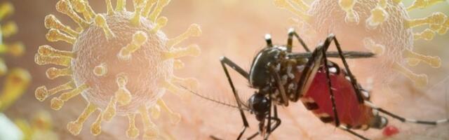 OBA PACIJENTA U BOLNICI! Virus Zapadnog Nila stigao u Severnu Makedoniju!