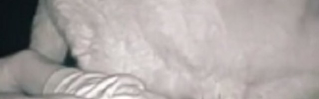 Žena se svako jutro budila umorna, a onda je odlučila da stavi kameru u spavaću sobu, a kada je pogledala snimak, misterija je bila rešena (VIDEO)