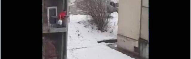 Žena iz Lazarevca koja baca smeće sa terase je smešna i sramotna u isto vreme