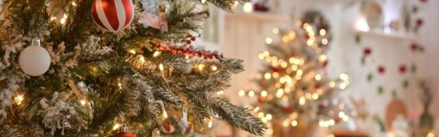 Kada treba da raskitite jelku i uklonite ukrase? Ovaj datum je ključan