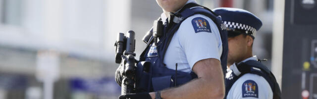 TUČA POLICIJE I DEMONSTRANATA! Sevale pesnice, razbijene arkade, na kraju se umešala i KONJICA