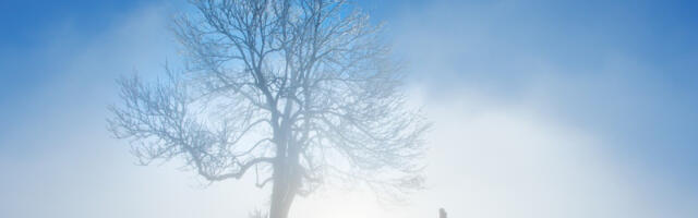 Kada će zima zaista “pokazati zube”? Sibirska hladnoća nam kuca vrata, sve će se odjednom promeniti
