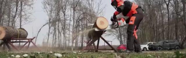 Srpkinja, svetska šampionka: Dragana obara stablo za tri minuta! (VIDEO)