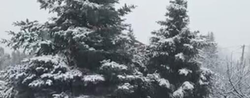 PAO SNEG NA ŠAR-PLANINI! Temperatura u jednom danu pala za čak 14 stepeni, zabeleo se i vrh Pelistera