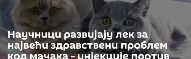 Научници развијају лек за највећи здравствени проблем код мачака -  инјекције против гојазности