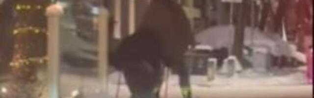 BEOGRAĐANKE SE PRIMILE NA NORDIJSKU MODU! Nema ko se nije okretao za njima, kakav moderan transport kroz grad VIDEO