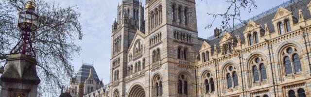 Ovaj muzej je najposećenija atrakcija u Velikoj Britaniji, a obišlo ga je više od 7 miliona ljudi