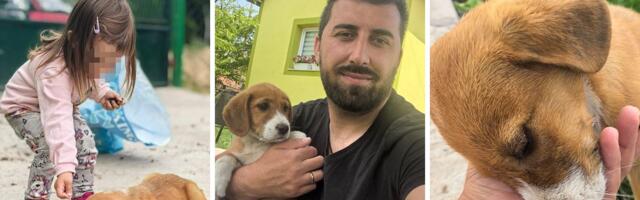 Evo kako danas živi Mila: Uplašeno štene trčalo prugom usred nedođije, Milanova reakcija i dalje se prepričava