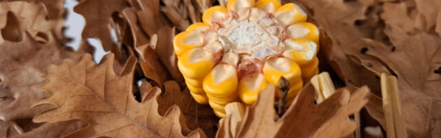 Da li će se raditi na Badnji dan? Evo šta kažu poslodavci, a šta sindikati