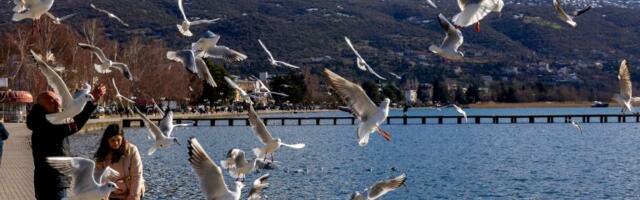 Ohridsko jezero se ‘otrglo’ od zime – fotografije