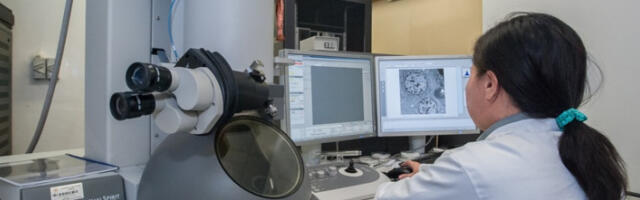 Руски научници развили модел за предвиђање старења имуног система