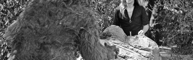 Misterija Bigfuta: Postoji li takvo stvorenje i ko su ljudi koji ga love