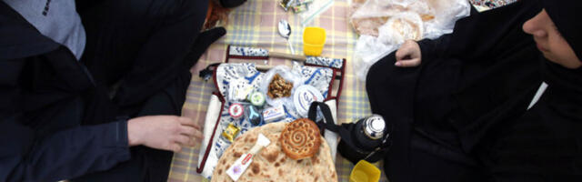 Иран спреман за дуготрајан сукоб: залихе хране веће него у мирнодопско време