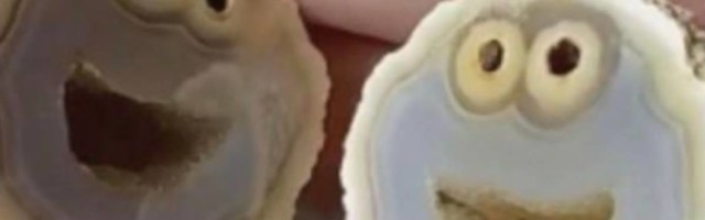 U Brazilu otkriven dragi kamen koji kad se preseče liči na Kuki Monstera i ljudi nude ogromne pare za njega