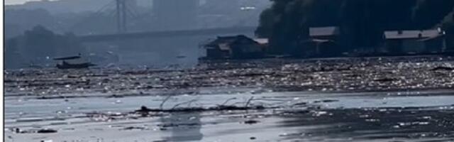 Pretrpana smećem: Sava kao vodena DEPONIJA (VIDEO)